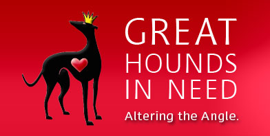 great-hounds-in-need